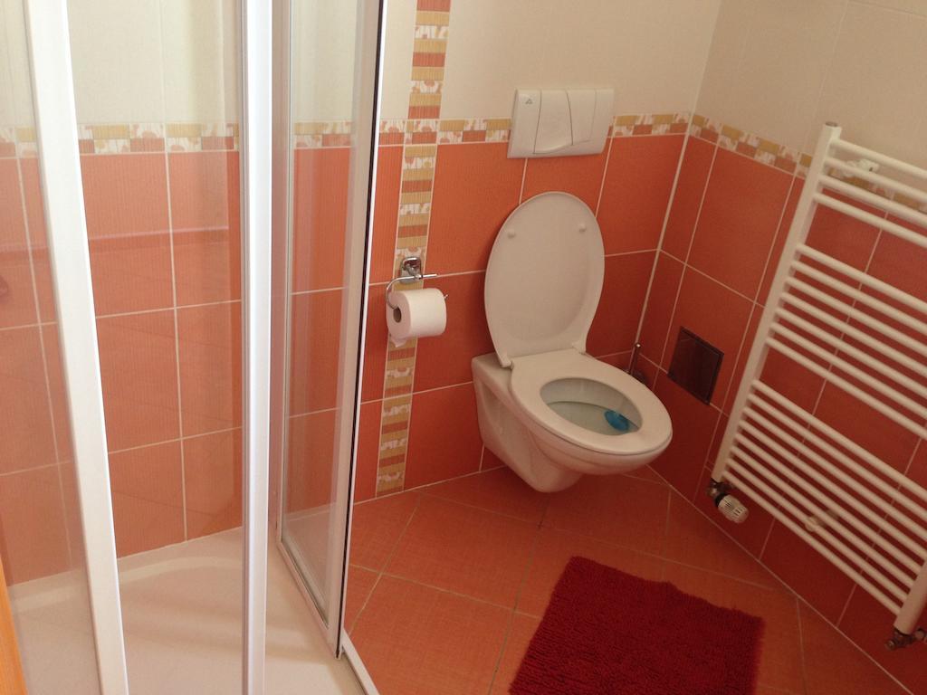 Apartmany Nowy Frymburk Rom bilde